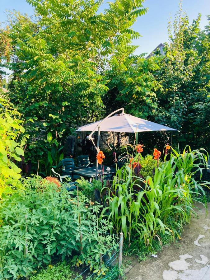 Guest House Barbi 바투미 외부 사진