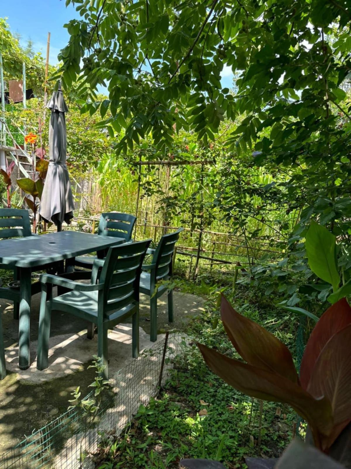 Guest House Barbi 바투미 외부 사진