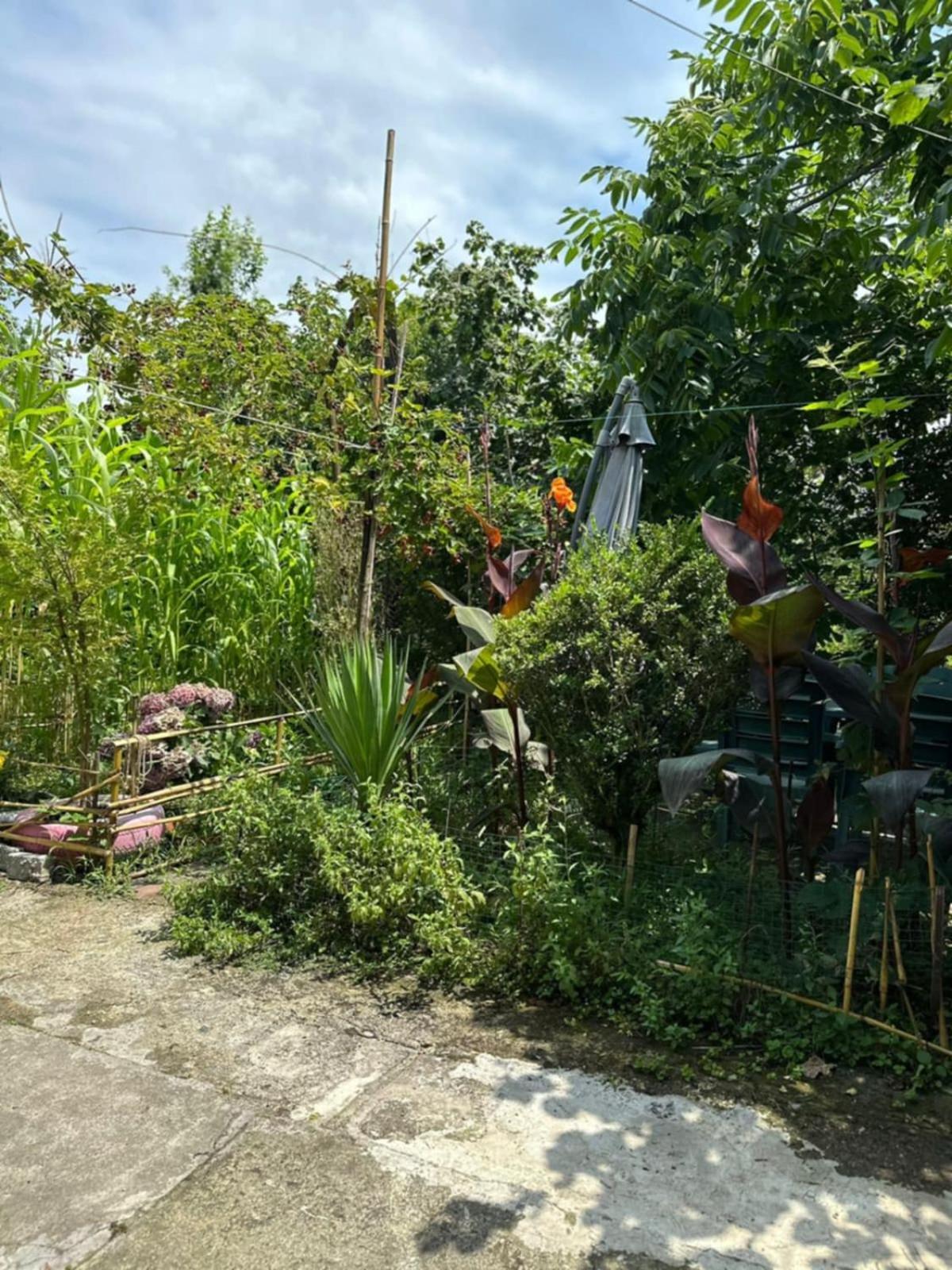 Guest House Barbi 바투미 외부 사진