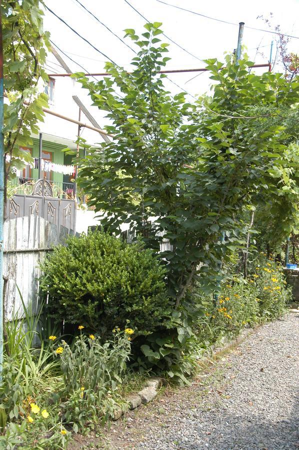 Guest House Barbi 바투미 외부 사진