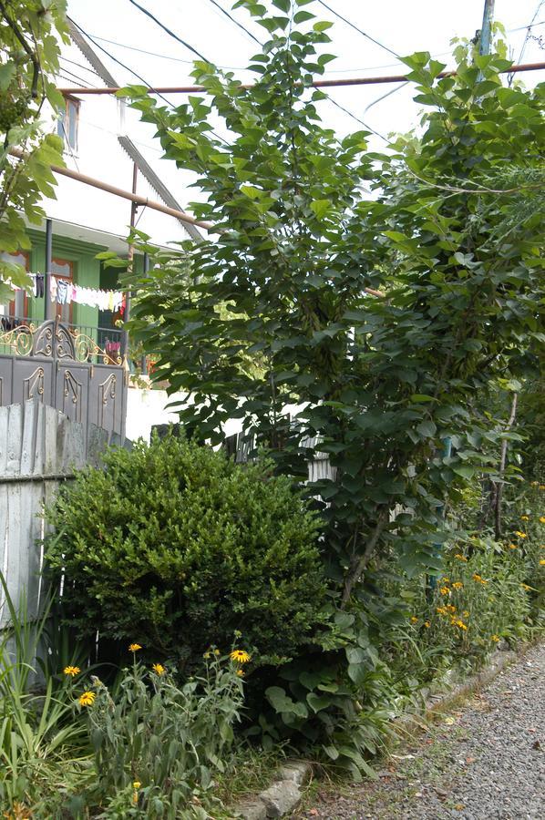 Guest House Barbi 바투미 외부 사진